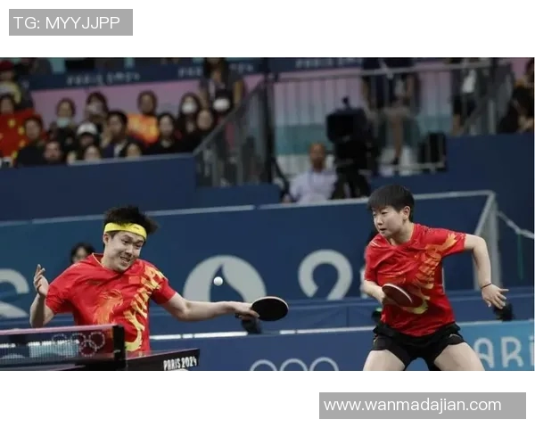 乒乓球盛宴:深入南京乒乓球队的速度与技巧之旅 乒乓球盛宴:深入南京乒乓球队的速度与技巧之旅